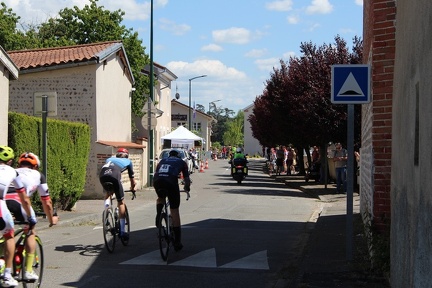 IMG 4772  1024x683