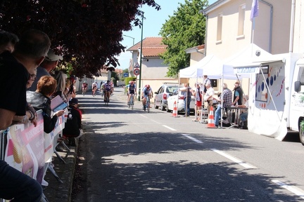IMG 4819  1024x683